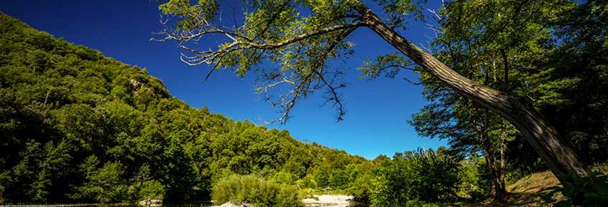 camping dans Les Cévennes